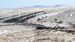 Mongolia