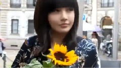 欧洲自由行