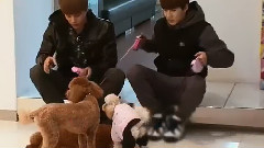 EXO's Show Time