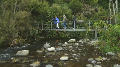 Te Anau Glowworm Caves - Real Journeys,New Zealand