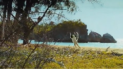 Island Of Lemurs