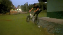 Moeis