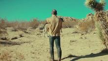 Herbert Bail Orchestra - The Nature Of Things On Vimeo