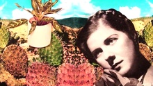 Lizard Kisses - In The Morning