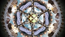 Gong - Occupy