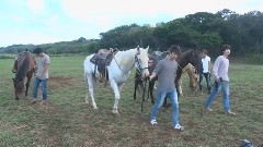 Super Junior In Hawaii Mahalo DVD 05 Horseback Rinding