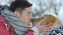 神犬小七 插曲