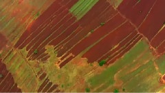 Aerial View Of Africa Garden