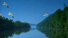 The Magic Of Flight
