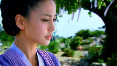 电视剧<云中歌> & 电视剧<宫锁连城>