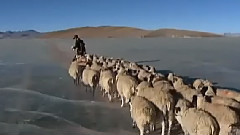 天边的圣湖