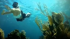 美妙绝伦 海洋Eyegasim
