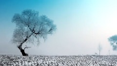 风景,音乐短片 - 最美中国之长白山松花江