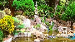 Musica Para Paisajes Que Serenan El Alma,Fantasia Musical No 15