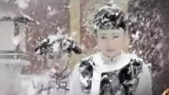电视剧