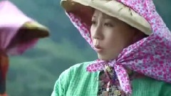 电视剧