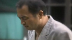 电视剧