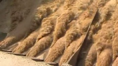 The Yellow River Flood Discharge