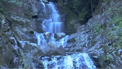 The Wander Of Nature