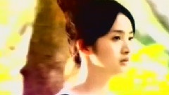 电视剧