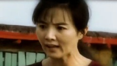 电视剧