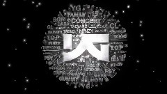 2011 YG Family Concert SPOT