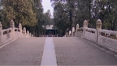 至圣林