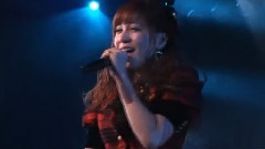 言い訳Maybe