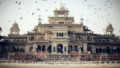 India - Oxelo Skateboards