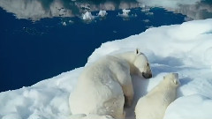Ice Breaking Trip