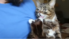 A Moment With BUB At Home