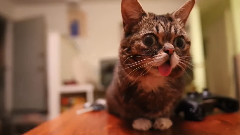 Bub Meets Moth