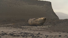 南极洲之梦