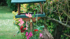 Relax With Music And Nature