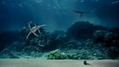 白垩纪海洋霸主争夺战