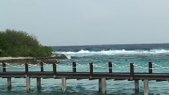 神秘园之旅 我心依旧