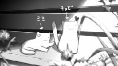 她和她的猫