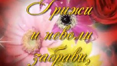 ЧЕСТИТ ПРАЗНИК