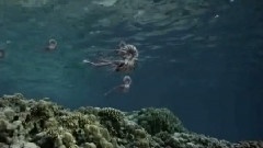 霸主退役