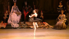 The Mariinsky Theatre Swan lake turn 32 Alina Somova, Victoria Tereshkina