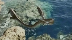 史前海洋