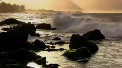 Humpback Whale Song