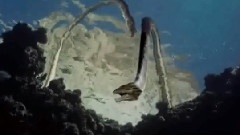 史前海洋纯音乐版