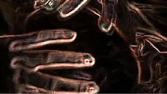 Veins Of Life