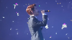 D.O. Solo
