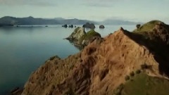 鱼龙