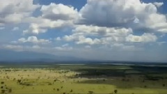 Begun In Africa