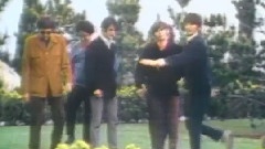 Happy Together