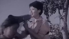 要问我们想什么