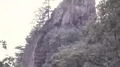 满园春意在何处